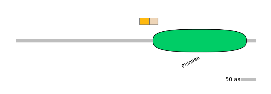 MmuINT0160587-EXC
