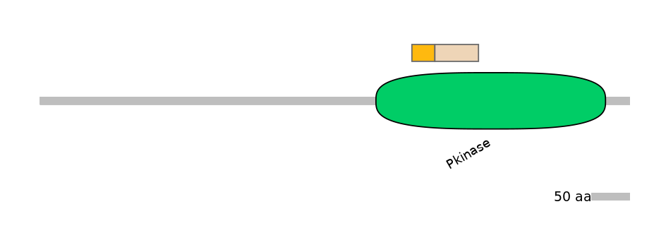 MmuINT0160590-EXC