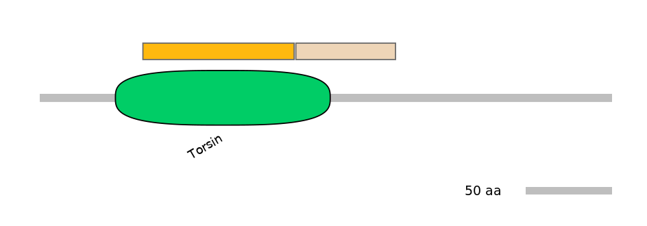 MmuINT0163994-EXC