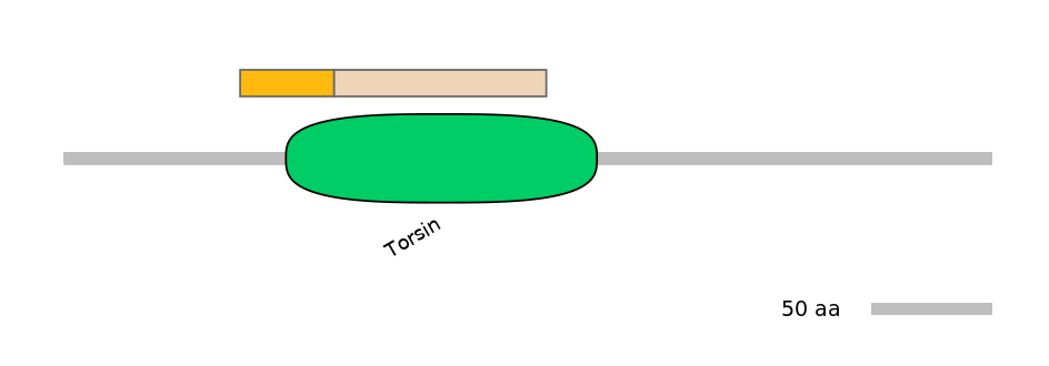 MmuINT0164021-EXC