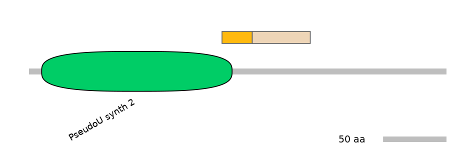 MmuINT0166398-EXC