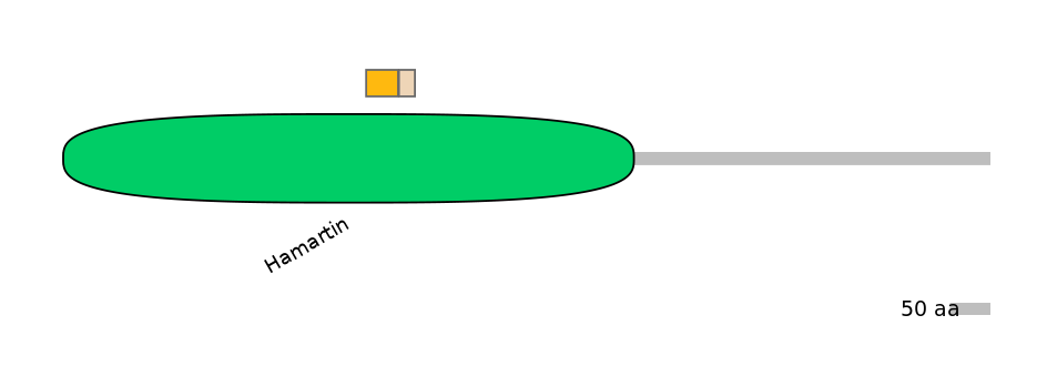 MmuINT0166415-EXC