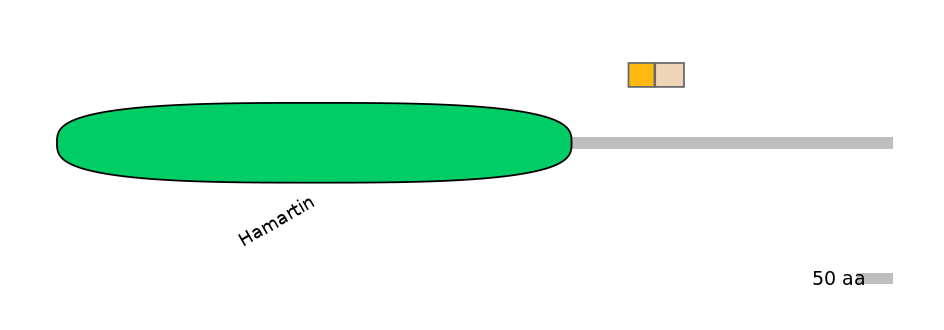 MmuINT0166422-EXC