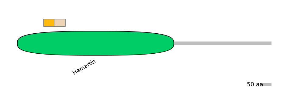 MmuINT0166430-EXC