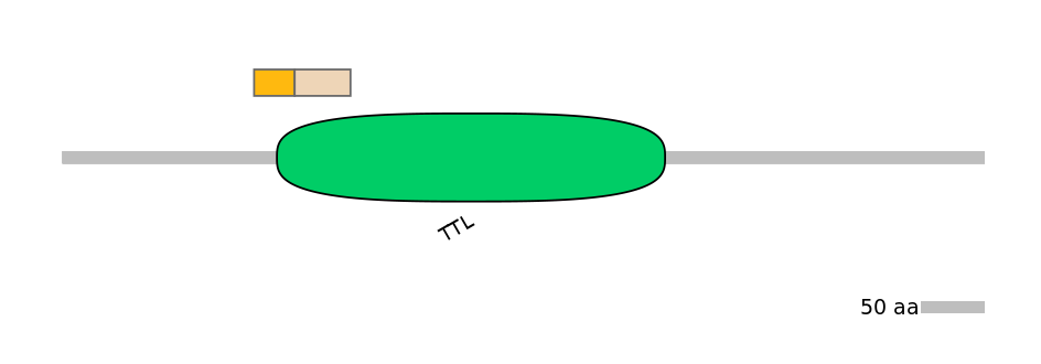 MmuINT0167539-EXC