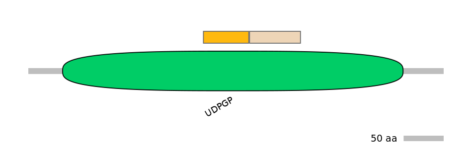 MmuINT0168752-EXC