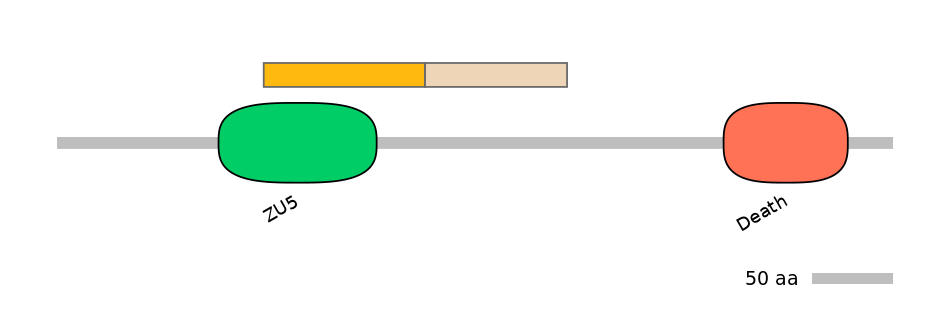 MmuINT0170615-EXC