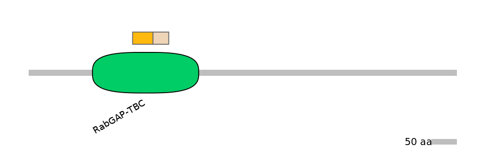 MmuINT0172060-EXC