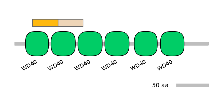MmuINT0175243-EXC