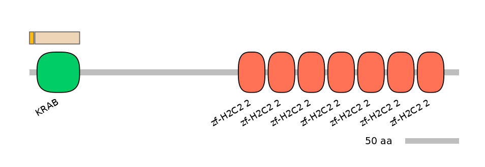 MmuINT0178534-EXC