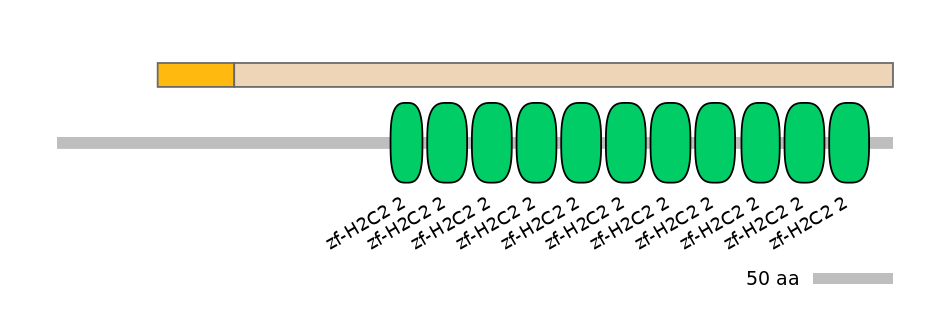 MmuINT0178542-EXC