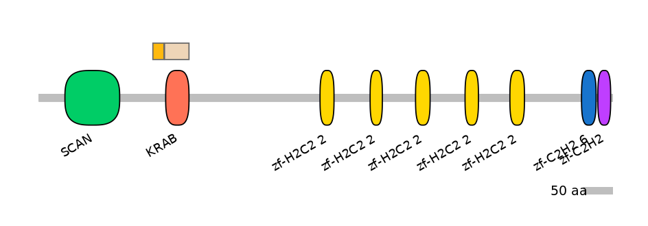 MmuINT0179260-EXC