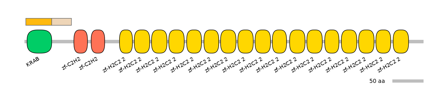 MmuINT0179297-EXC