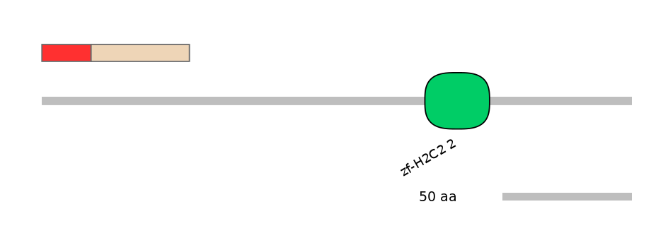 MmuINT0179713-INC