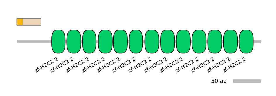 MmuINT0179793-EXC