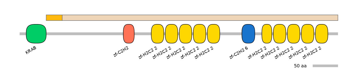 MmuINT0180039-EXC
