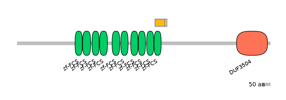 MmuINT0180462-EXC