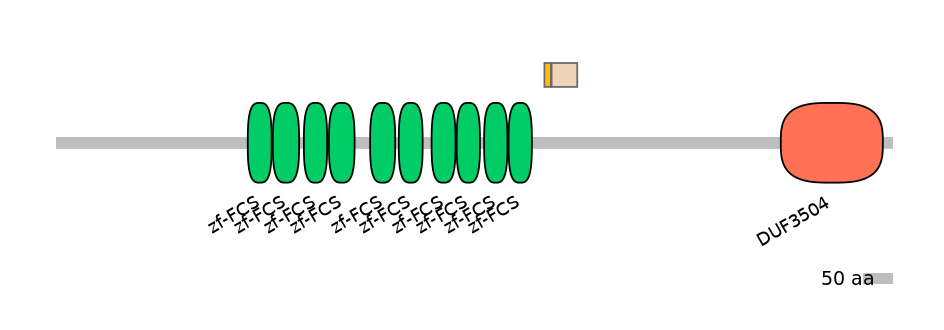 MmuINT0180463-EXC