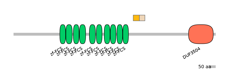 MmuINT0180464-EXC