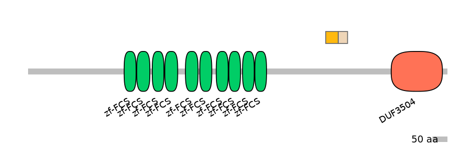 MmuINT0180467-EXC