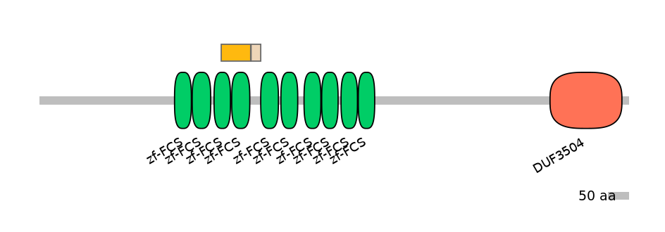 MmuINT0180477-EXC