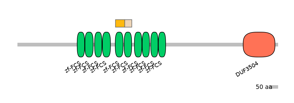 MmuINT0180479-EXC