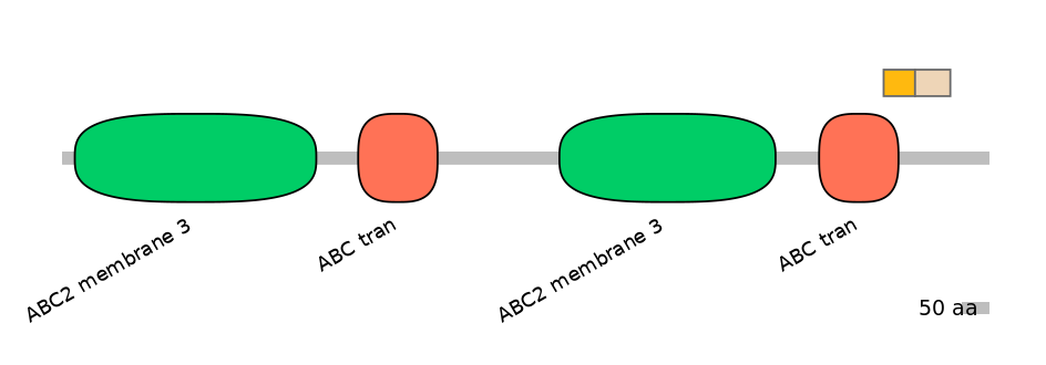 RnoALTA0001424-2_2-EXC
