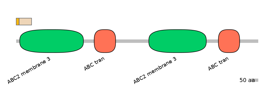 RnoALTA0001426-1_2-EXC