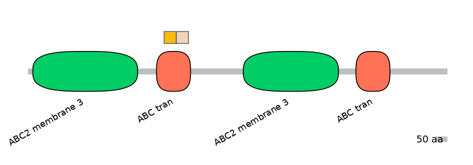 RnoALTA0001432-1_2-EXC