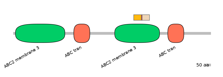 RnoALTA0001434-2_2-INC
