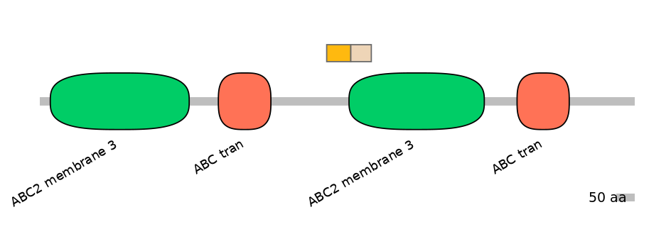 RnoALTA0001485-2_2-EXC