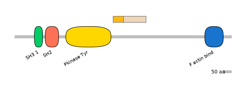 RnoALTA0001740-2_2-EXC