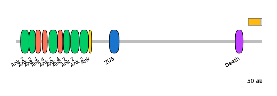 RnoALTA0003446-1_2-EXC
