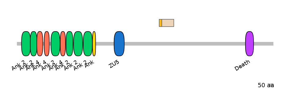 RnoALTA0003457-1_2-EXC