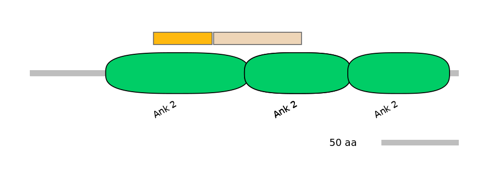 RnoALTA0003612-2_2-EXC