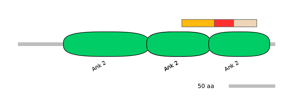 RnoALTA0003613-4_4-INC