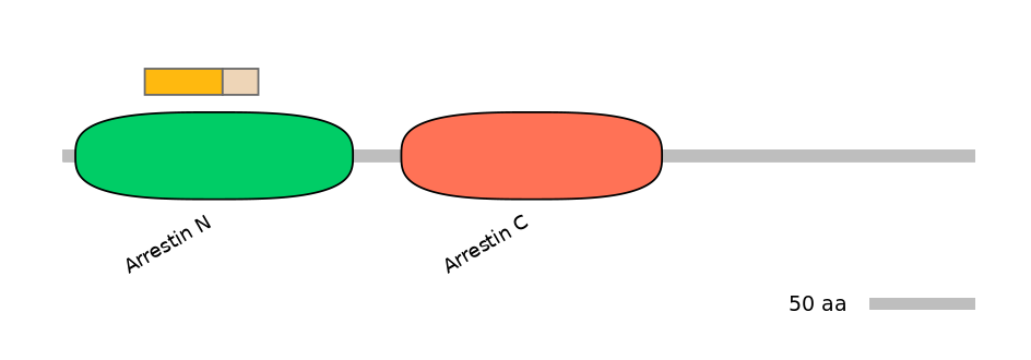 RnoALTA0004642-1_4-EXC