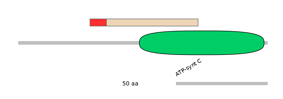 RnoALTA0005173-3_3-INC