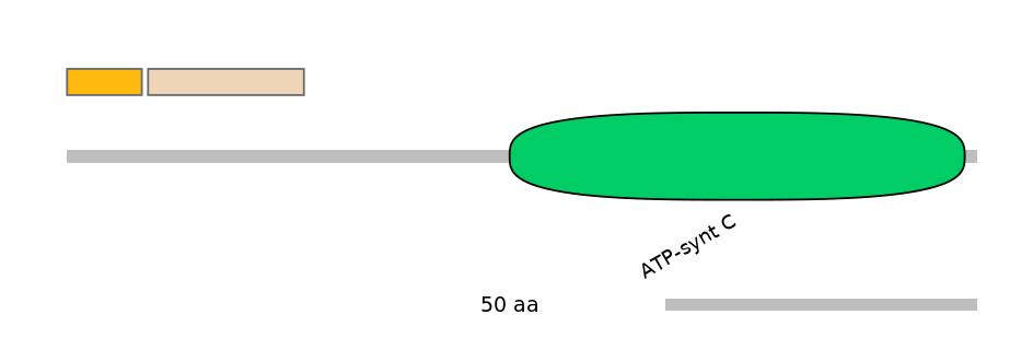 RnoALTA0005176-1_7-EXC
