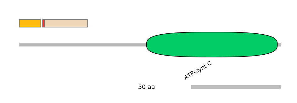 RnoALTA0005176-2_7-INC
