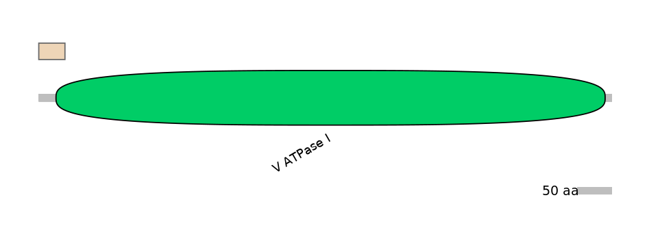 RnoALTA0005213-1_2-EXC