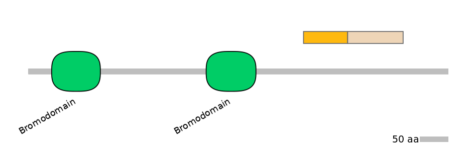 RnoALTA0006087-1_2-EXC