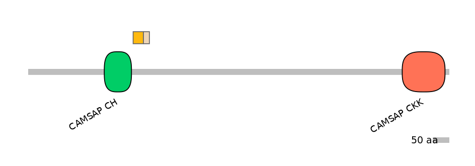 RnoALTA0006715-1_2-INC