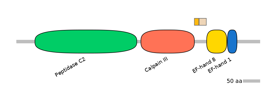 RnoALTA0006772-1_3-EXC
