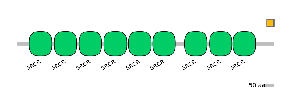 RnoALTA0007667-2_2-EXC