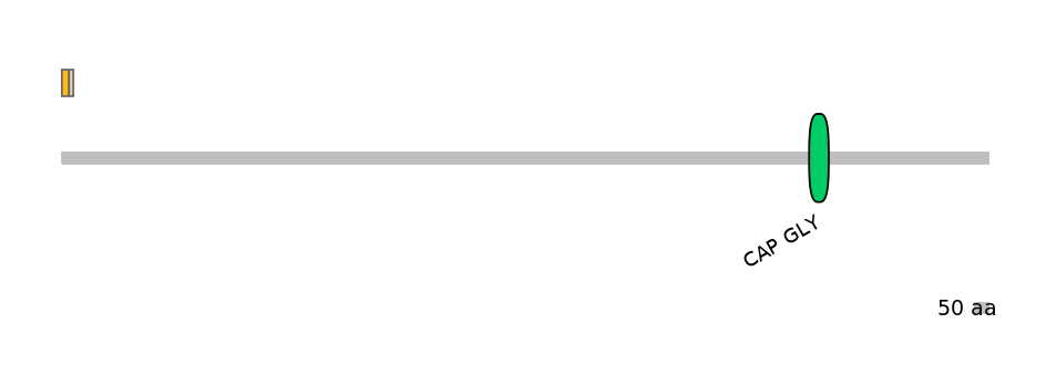 RnoALTA0008419-2_2-EXC