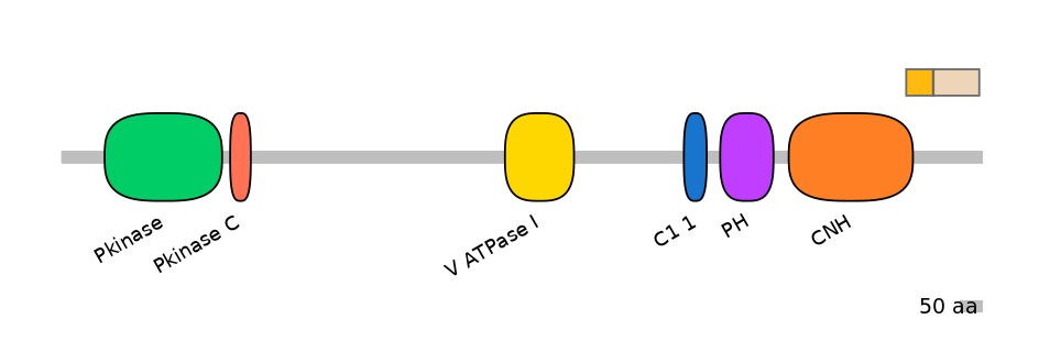 RnoALTA0009044-2_2-INC