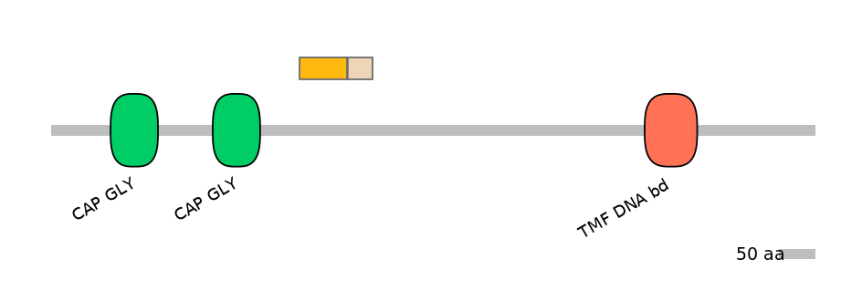 RnoALTA0009247-1_2-EXC