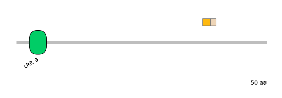 RnoALTA0009642-1_4-EXC