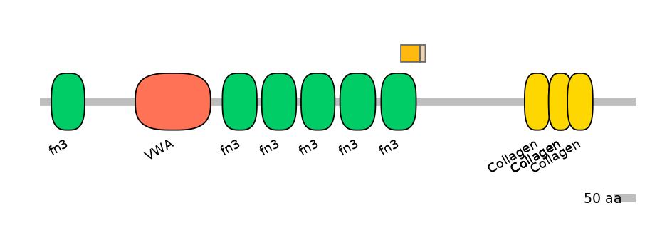 RnoALTA0009770-2_4-INC